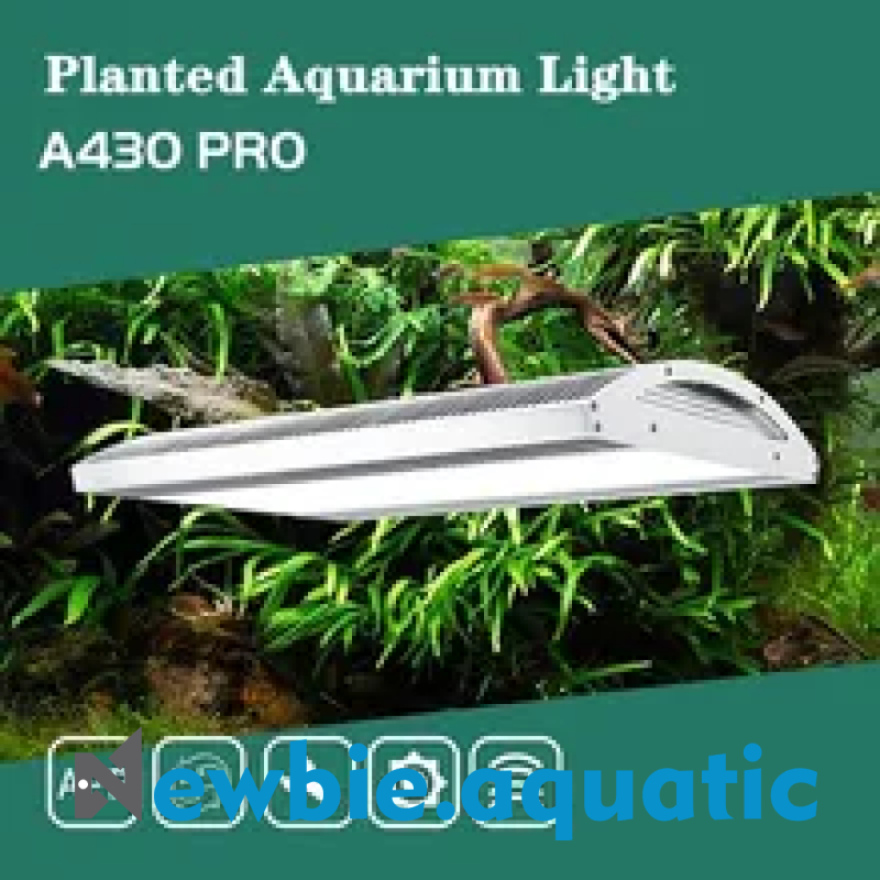 Đèn WEEK AQUA A430 PRO RGB-UV