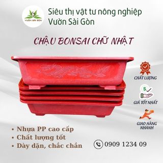 (Combo 3) Chậu bonsai chữ nhật Mini (D17xR12xC5cm), nhiều màu, trồng bonsai bền đẹp (Vườn Sài Gòn)