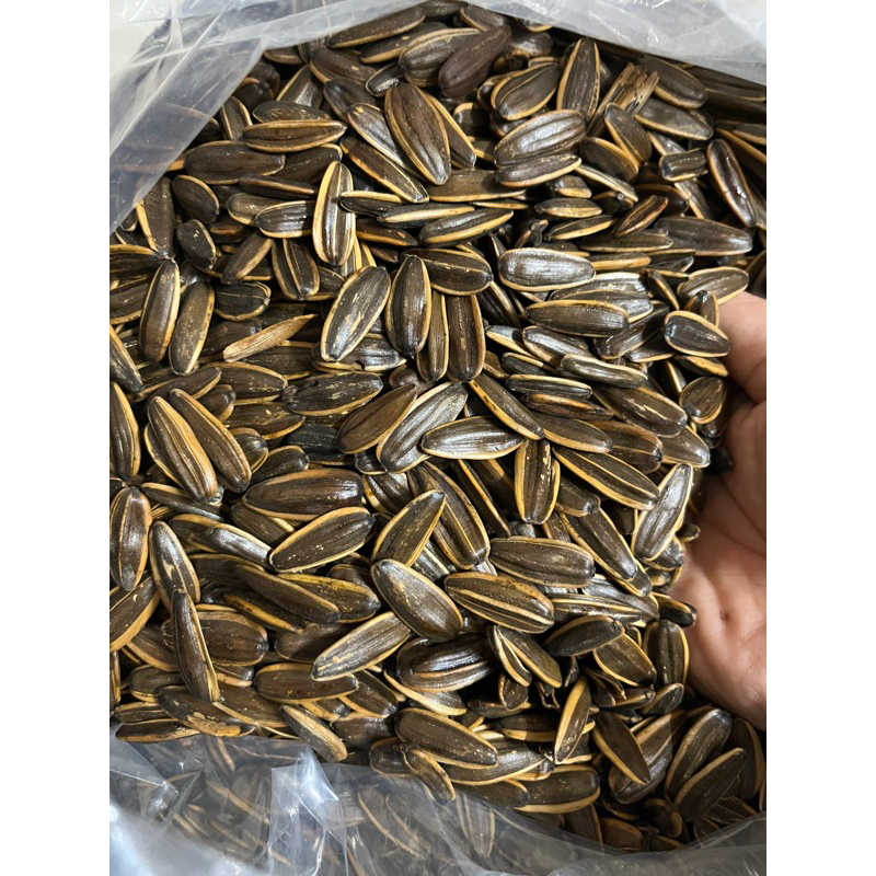 Hạt Hướng Dương Vị Dừa 5kg