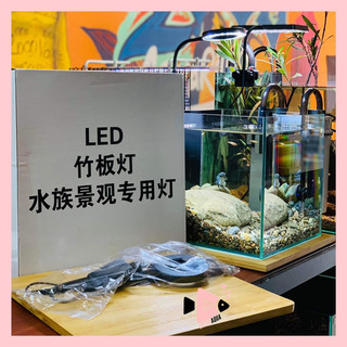 Đèn Led kèm Đế gỗ cho hồ thủy sinh, tetarium