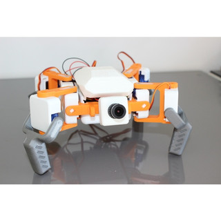 Robot Nhện DIY STEM Tự Ráp In3D