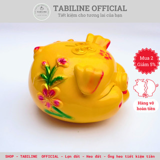 Lợn đất heo đất ống heo tiết kiệm tiền TABILINE Híp hoa siêu đẹp LD07