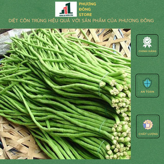 Hạt giống đậu đũa 10g