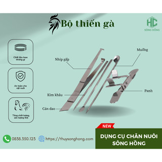 Bộ Dao Thiến Gà Inox 5 Món