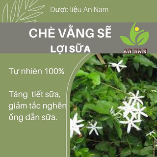 Chè vằng lợi sữa - tăng tiết sữa - giảm mỡ - Dược Liệu An Nam