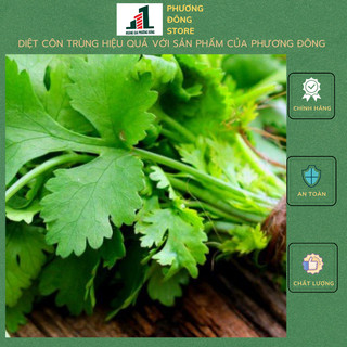 Hạt giống ngò Bạc Liêu 20g