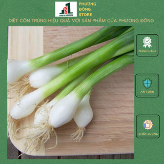 Hạt giống hành lá gốc trắng 2g