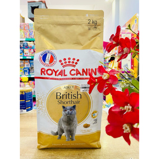 ROYAL CANIN MÈO ANH LÔNG NGẮN ADULT 2KG