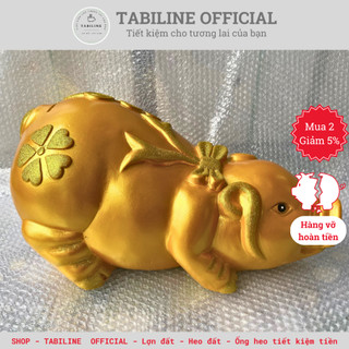 Lợn đất heo đất ống heo tiết kiệm tiền TABILINE dáng dài size siêu to vàng đồng vip LD72