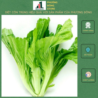 Hạt giống cải bẹ dưa