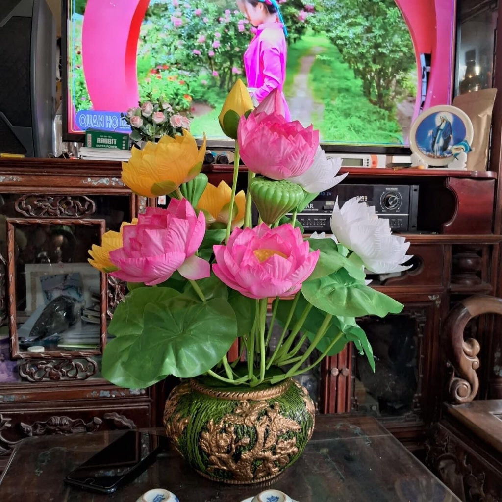 Cây Hoa Sen Giả- Hoa S.ú.n.g- Sen Lụa.