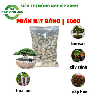 Phân tan chậm Hạt bàng, phân bón cây cảnh, lan, dòng phân hữu cơ Nhật