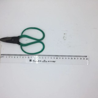 Kéo cắt xanh