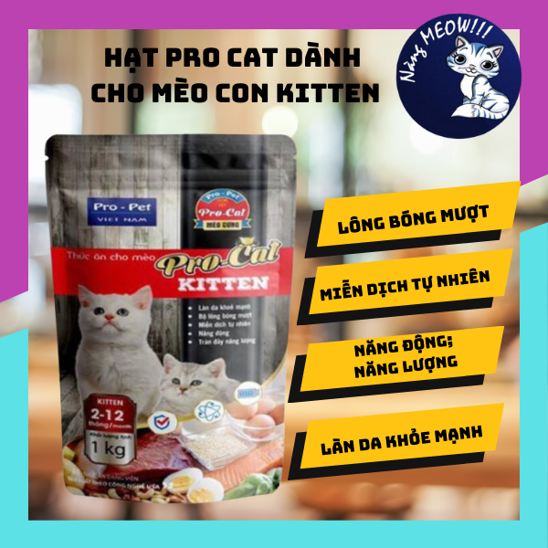 [1KG] Hạt ProCat Kitten Túi 1Kg Thức Ăn Hạt Cho Meò Con
