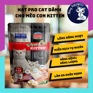 Hạt procat kitten túi 1kg thức ăn hạt cho meò con