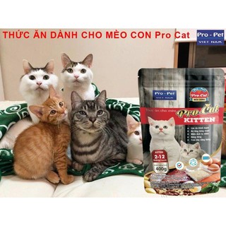 [1KG] Hạt ProCat Kitten Túi 1Kg Thức Ăn Hạt Cho Meò Con