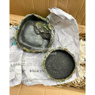 Bát đựng nước/ thức ăn cho ốc mượn hồn, bò sát và thú nhỏ