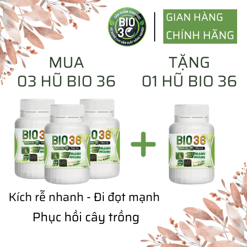 [Shopee Mall Bio36] Combo 3 Hũ Tặng 01 Hũ Bio 36 Siêu Kích Rễ Đi Đọt