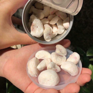 [ HÀNG CÓ SẴN ] MĂNG CỤT SẤY LON MANGOSTEEN THÁI LAN