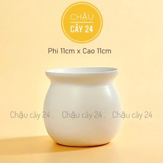 Chậu Sứ Trồng Cây Cảnh Để Bàn, Sen đá, Xương rồng, terrarium Hũ Loe