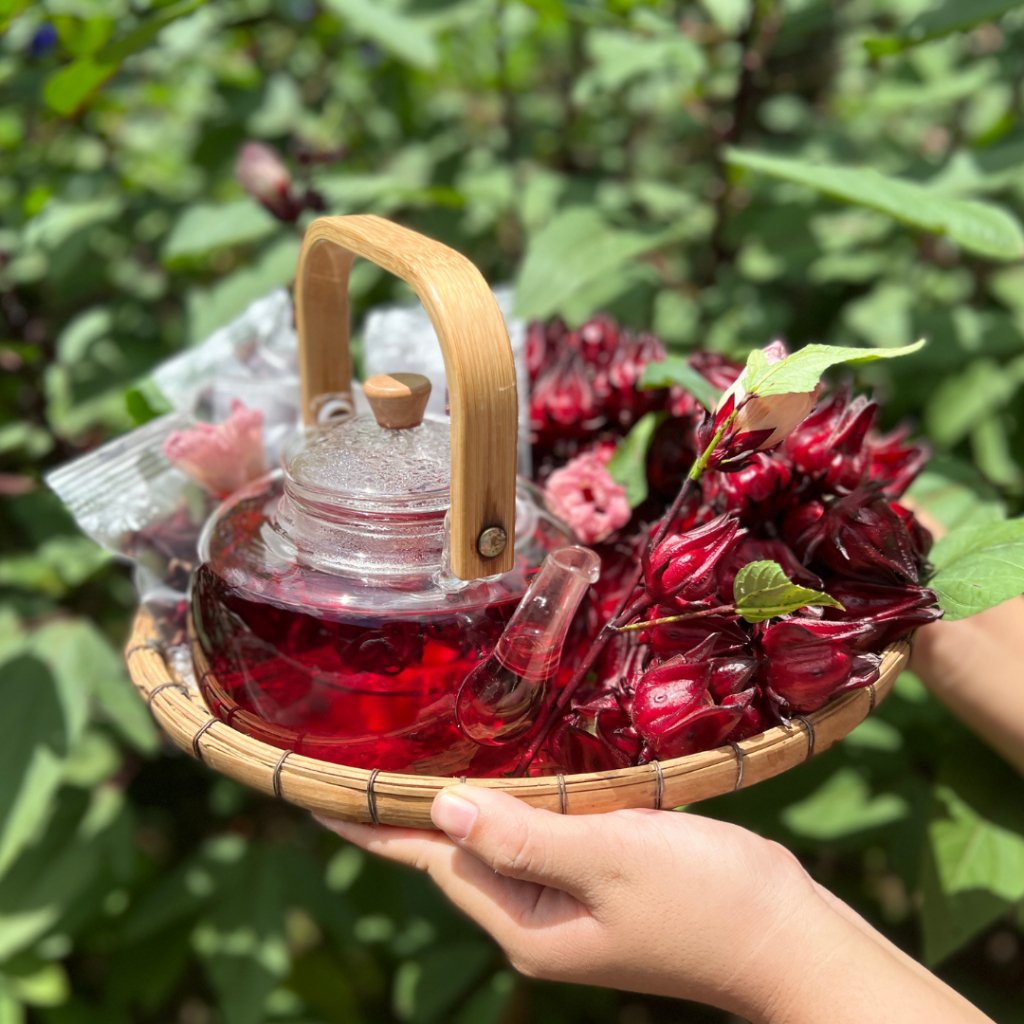 [TRÀ ATISO ĐỎ] Combo 30 gói trà hoa atiso đỏ - Tiệm Bà Út