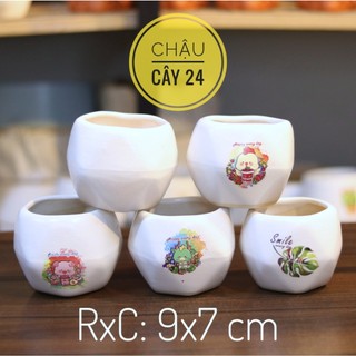 Chậu trồng sen đá, xương rồng, chậu trồng cây mini, bonsai hình đa giác
