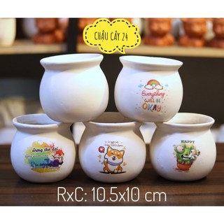 Chậu Trồng Cây Cảnh Để Bàn, Sen đá, Xương rồng, terrarium hình hũ loe