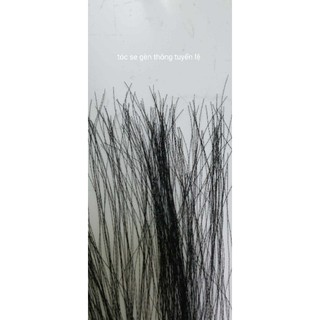 Combo 10 sợi toc se gèn loại mỏng vừa siêu rẻ, siêu phê ngành ráy tai 👂👂👂