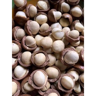 500g mắc ca sấy nứt size trung nhà vườn đắk lắk