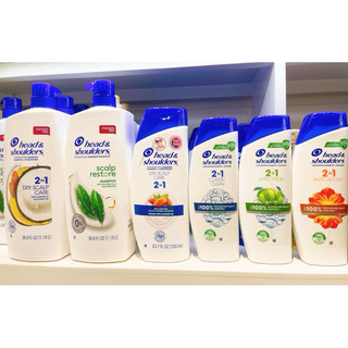 DẦU GỘI HEAD AND SHOULDERS DRY SCALP CARE 2 IN 1 400ML