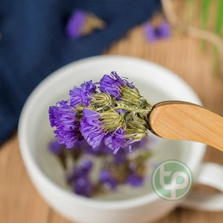 Trà hoa lưu ly - Thảo Dược Tấn Phát