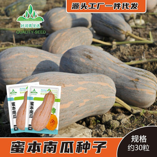 Hạt giống bí ngô mật cao sản nk - gói 30 hạt - tỷ lệ nảy mầm 90%