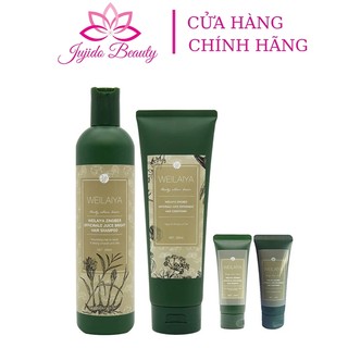 Dầu gội Weilaiya chính hãng gừng hà thủ ô tem nâu kích thích mọc tóc chống rụng tóc mềm mượt tóc cho tóc khô