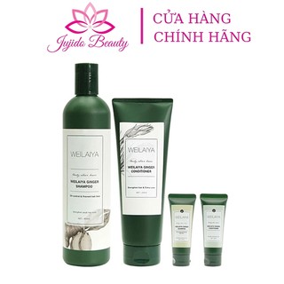 Dầu gội weilaiya gừng tem trắng cho tóc dầu phục hồi tóc hư tổn thơm lâu mượt tóc dưỡng tóc mọc chắc khỏe