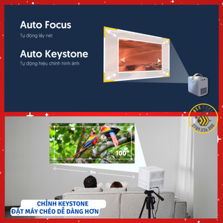 Máy Chiếu Mini Beecube Chính hãng Độc Quyền