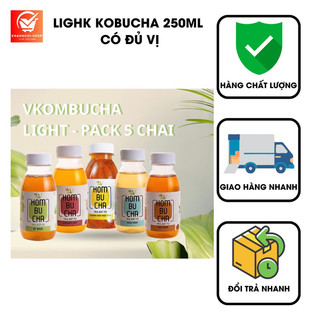 Light kombucha 250ml vị trái cây