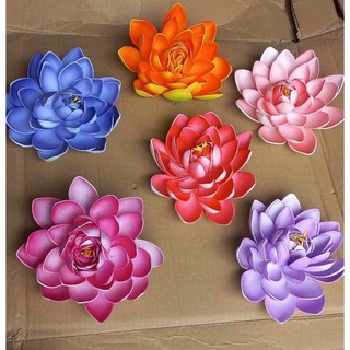 Hoa sen , hoa cúc , ...... trang trí tết