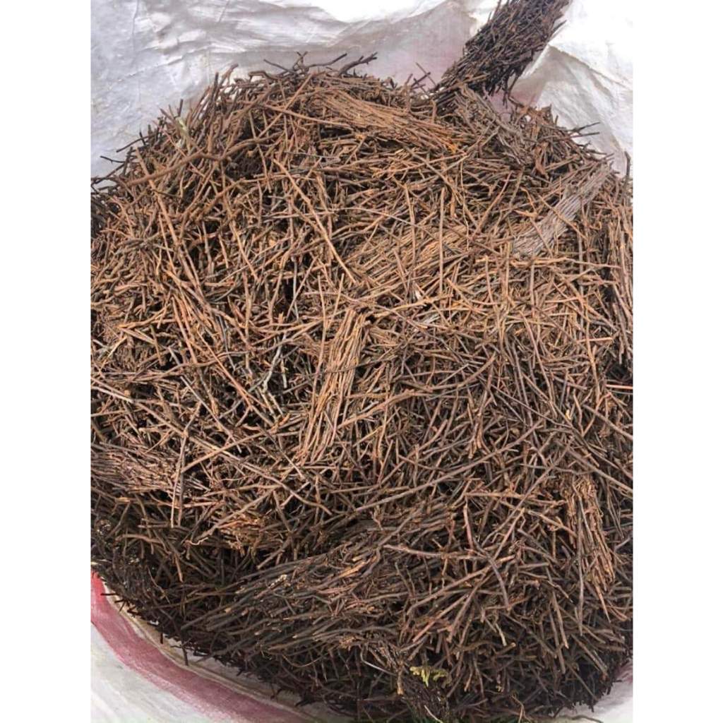 Dớn Cọng Trồng Lan Bịch 200g