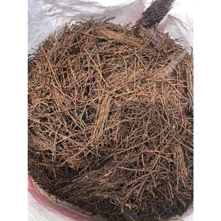 Dớn cọng trồng lan bịch 200g