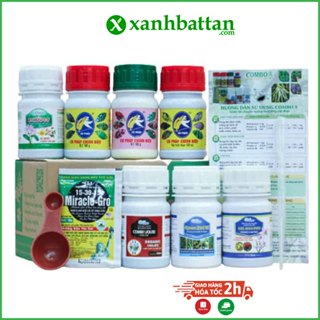 Combo 8 Premium Chăm Sóc Toàn Diện Cho Phong Lan