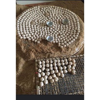 300g Men Viên Nấu Rượu _ men ngọt _ ủ nếp trắng , nếp than gọi sữa