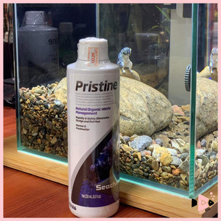 Seachem Pristine vi sinh phân hủy phân cá và chất hữu cơ