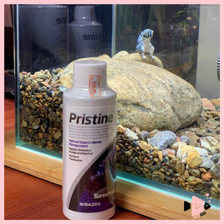 Seachem Pristine vi sinh phân hủy phân cá và chất hữu cơ