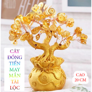 Cây đồng tiền may mắn tài lộc thịnh vượng đầu năm, 20cm