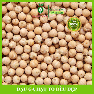 Hạt Đậu Gà Loại To 9mm Hữu Cơ Chickpeas Nhập Khẩu Mỹ/ Canada Hạt dinh dưỡng 500G Hoàng Phương