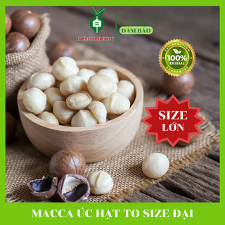 500G Hạt Macca Nứt Vỏ Úc Loại 1 Size 25 - 28mm Kèm Khui Vỏ💝FREESHIP💝 Hạt Mắc Ca Tách Vỏ Tự Nhiên