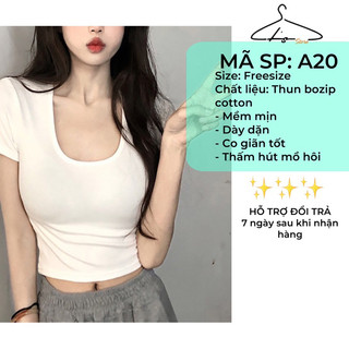 ÁO CROPTOP THUN BOZIP COTTON