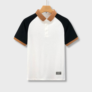Áo Thun Polo Ngắn tay Nam Phong Cách Đơn Giản-áo polo basic thiết kế sang trọng vải cotton cá sấu co giãn 4c POLOMAN PL2