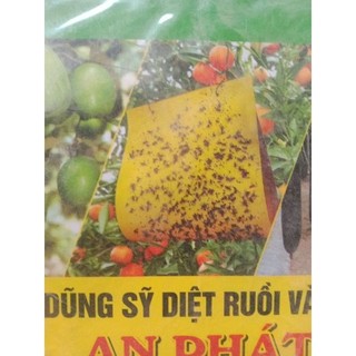 DŨNG SĨ DIỆT RUỒI VÀNG (dạng bẫy dính 35cmx35cm)