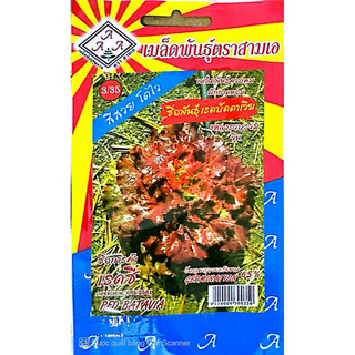 Hạt Giống Xà Lách Cos Batavia Đỏ 3A Thái Lan - nguyên gói 2 gram - Tỷ lệ nảy mầm 95% - có video thật